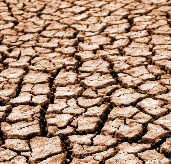 wueste_trocken_kopie