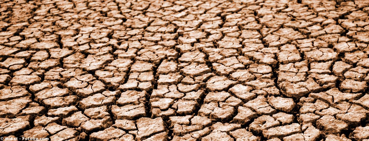 wueste_trocken_kopie