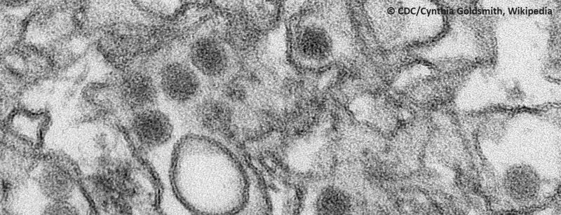zika