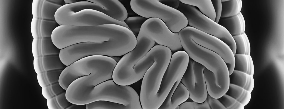 Perianal fistulas in Crohn's disease - Medizinonline