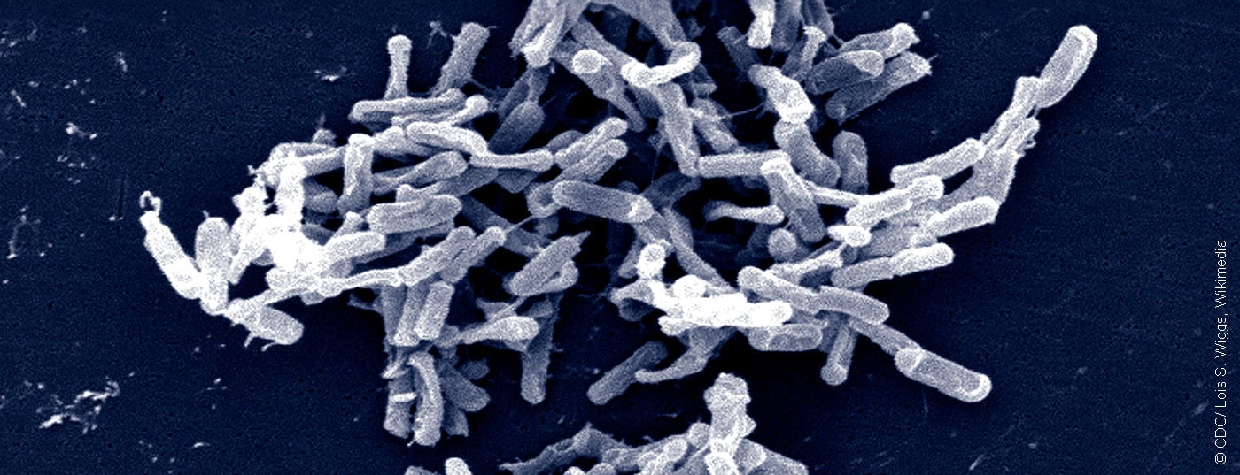 clostridium_difficile