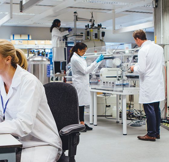 forschung_istock-542935478