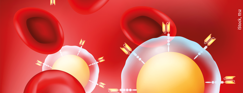 tzelle_blut_istock-1325565853