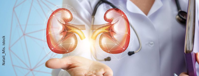 niere_istock-650717506