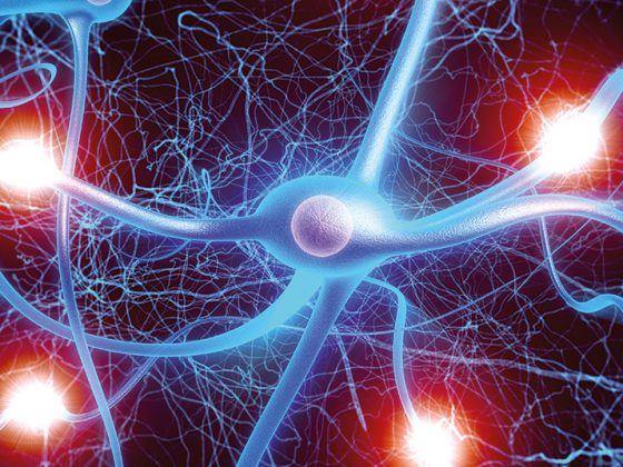 nervenzellen_ms_istock-181071277
