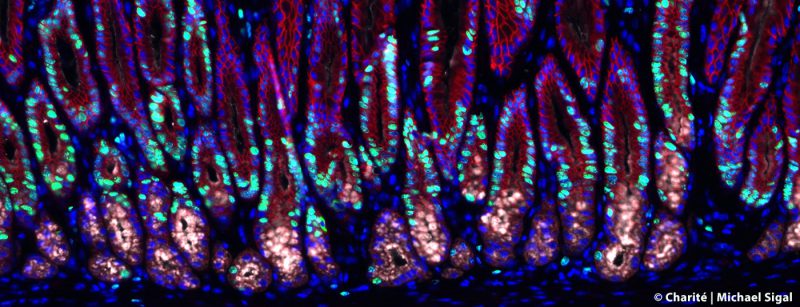 f47f94f57edd47abf4c47ad534c326c8bpq8gmzatxreqgkp-0