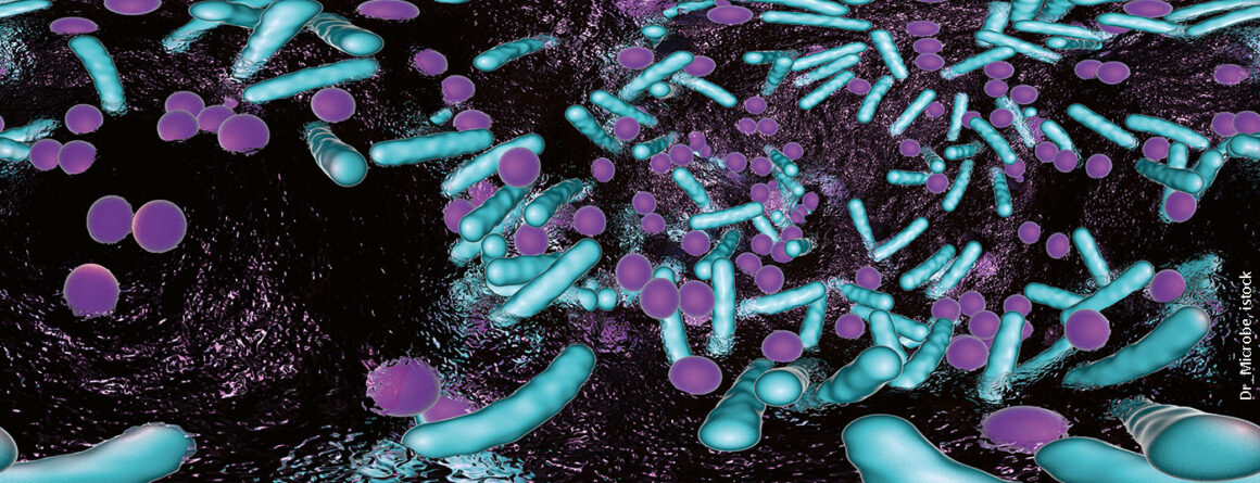 Biofilm erkennen, verstehen und nachhaltig beseitigen - Medizinonline
