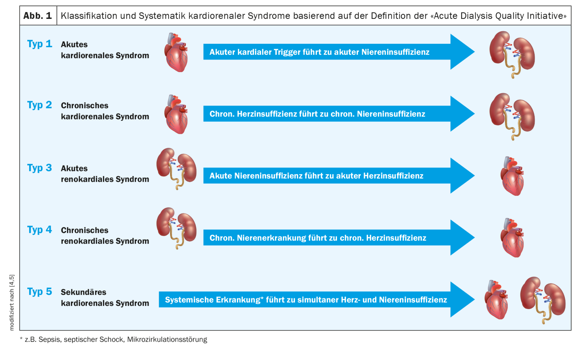 Comunicación cruzada entre el corazón y el riñón - Medizinonline