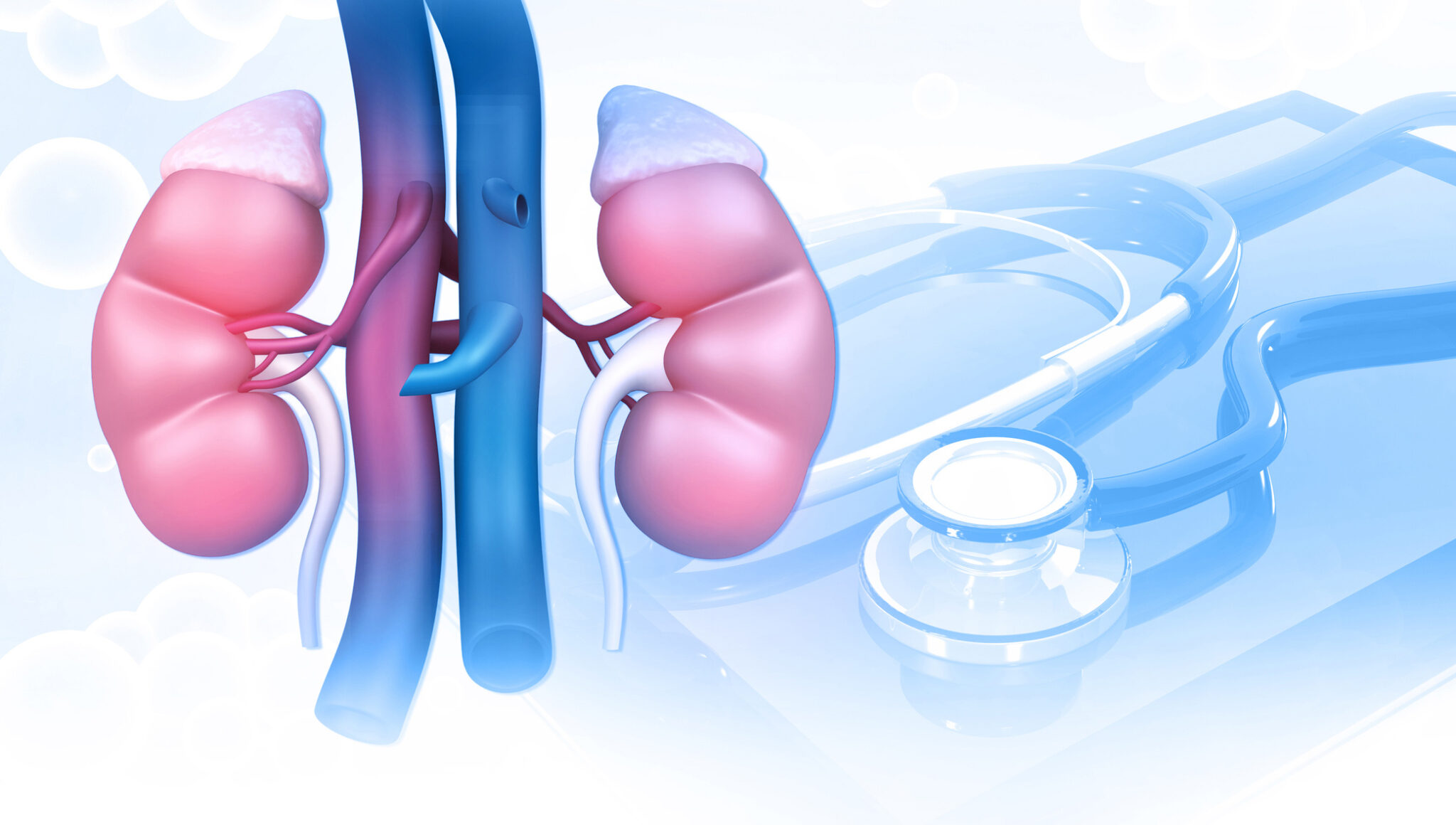 Comunicación cruzada entre el corazón y el riñón - Medizinonline