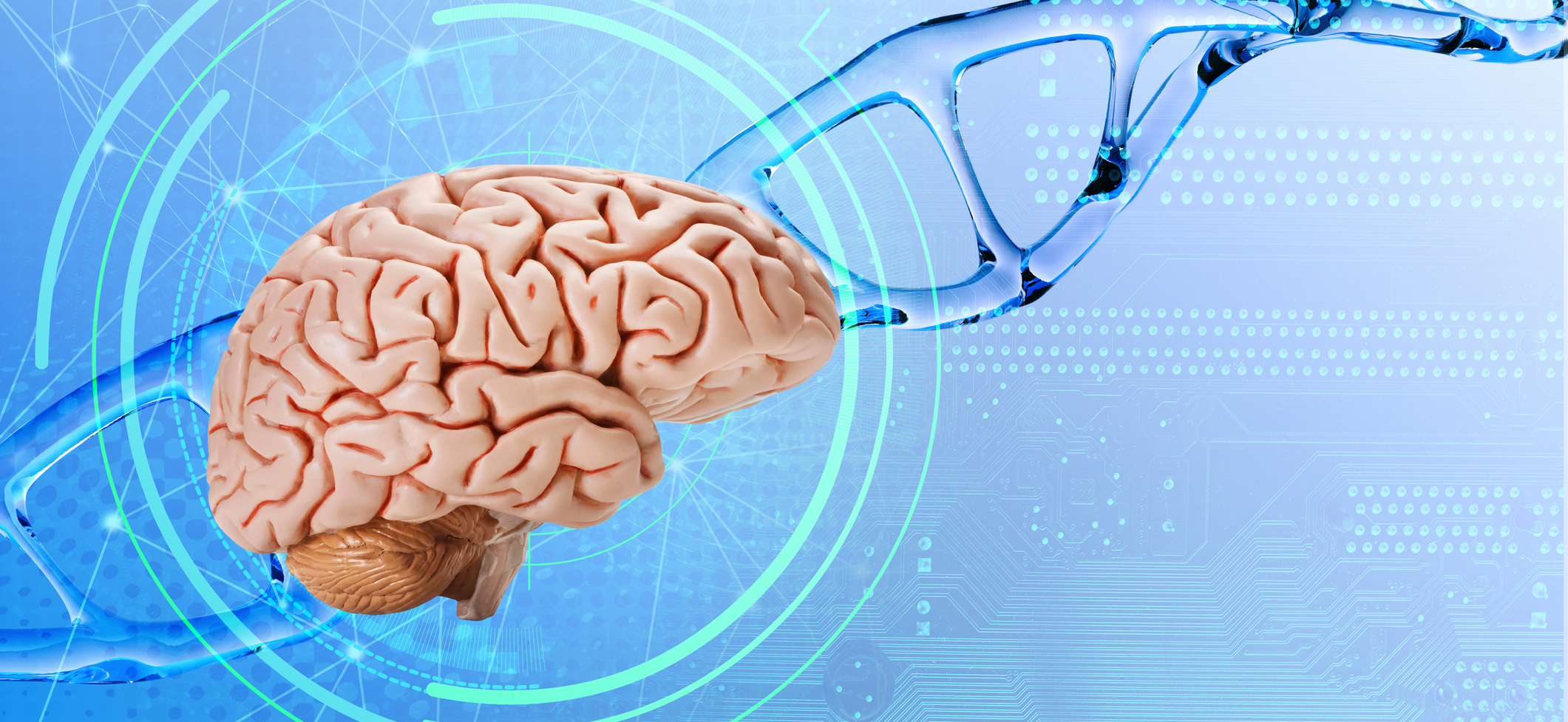 Untitled, image size:2121x977