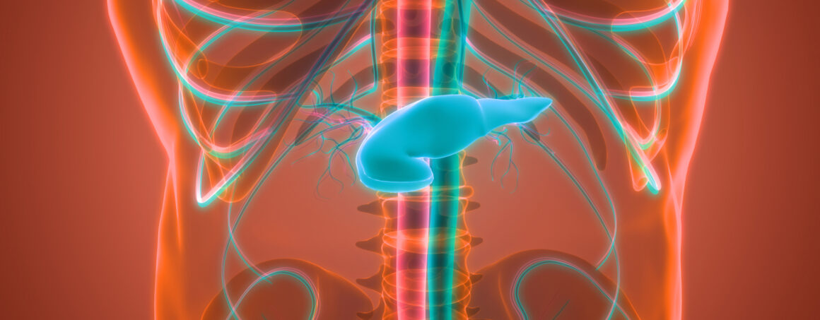 Diferenciación y activación de las células Th1 – un enfoque multiómico ...