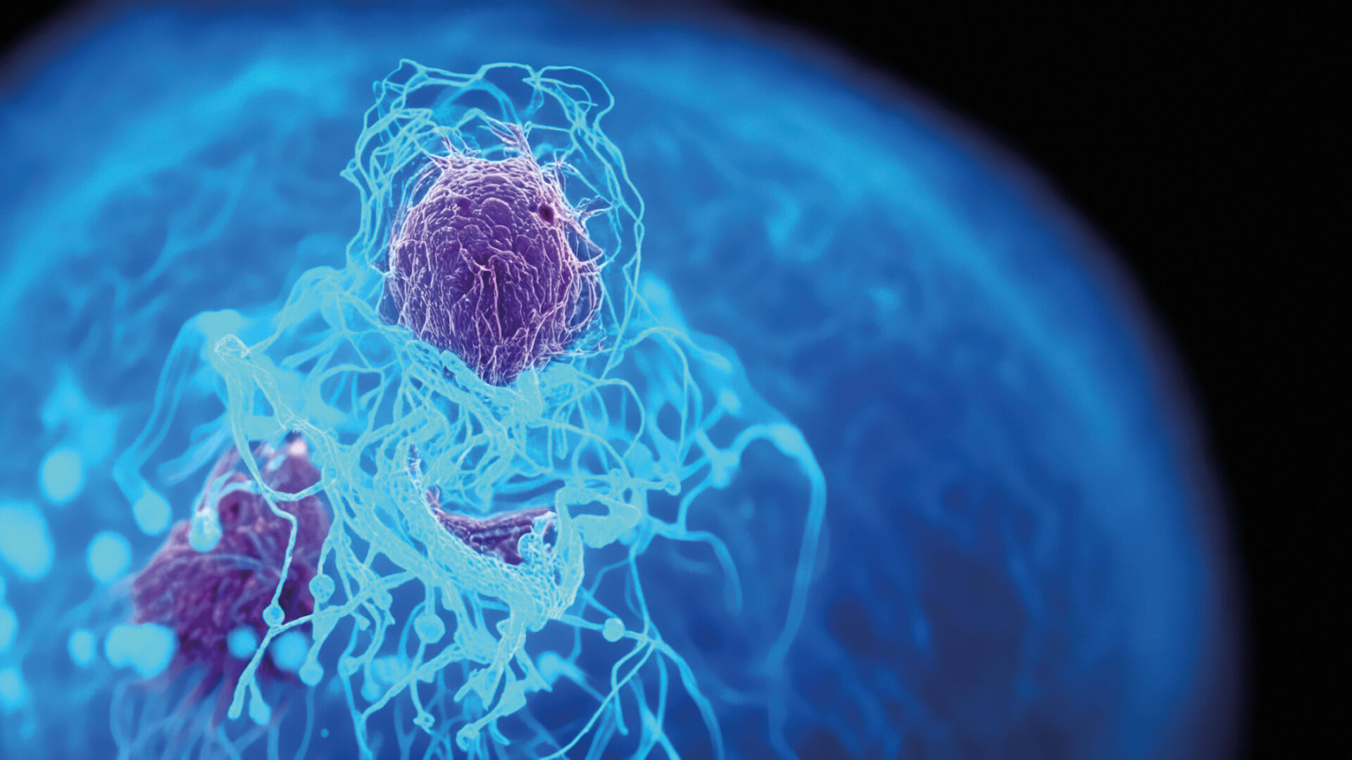 Diferenciación y activación de las células Th1 – un enfoque multiómico ...