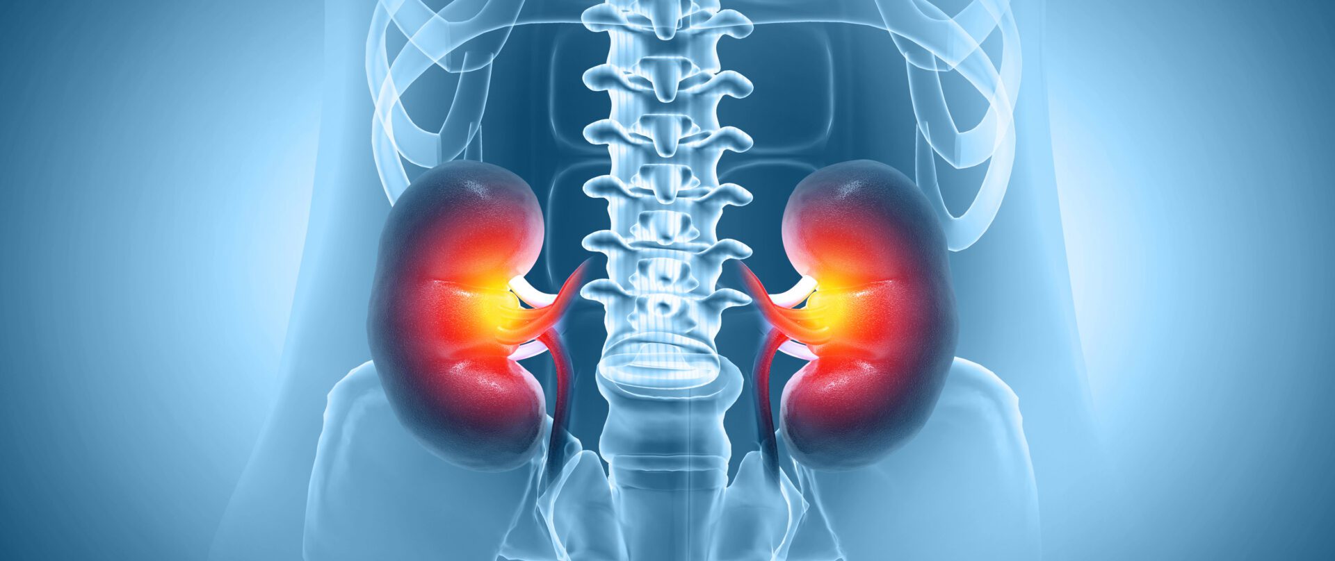 Diferenciação e ativação das células Th1 – uma abordagem multiómica ...